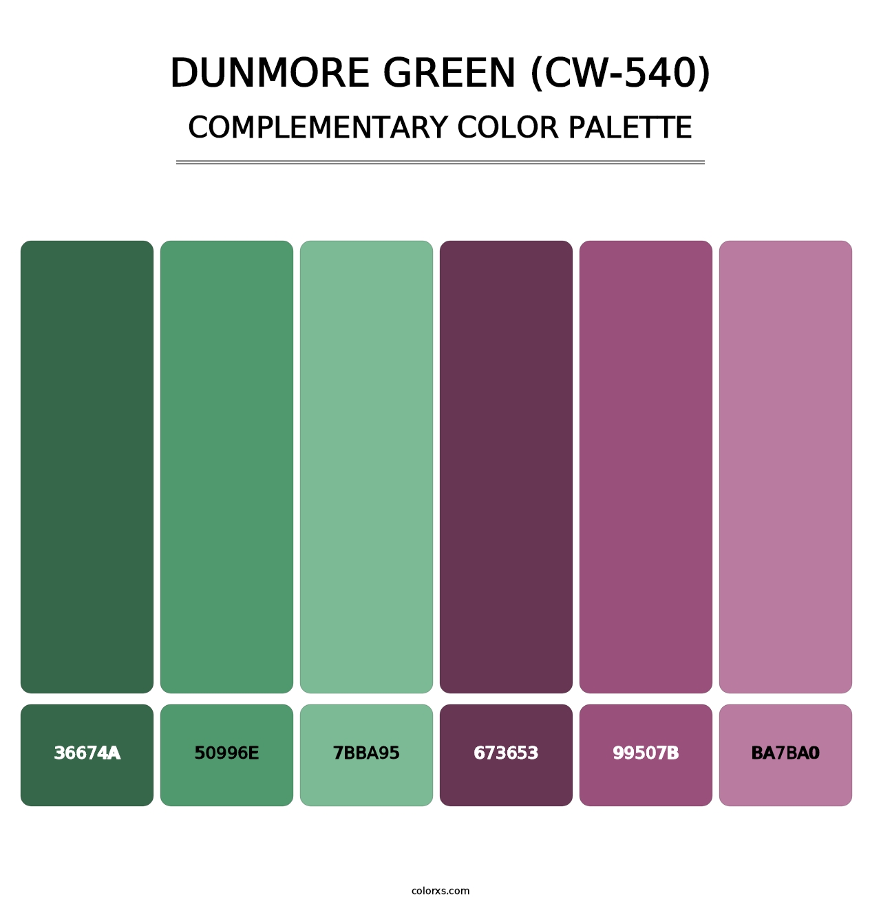 Dunmore Green (CW-540) - Complementary Color Palette