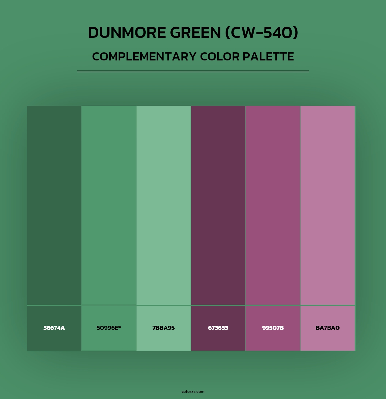 Dunmore Green (CW-540) - Complementary Color Palette