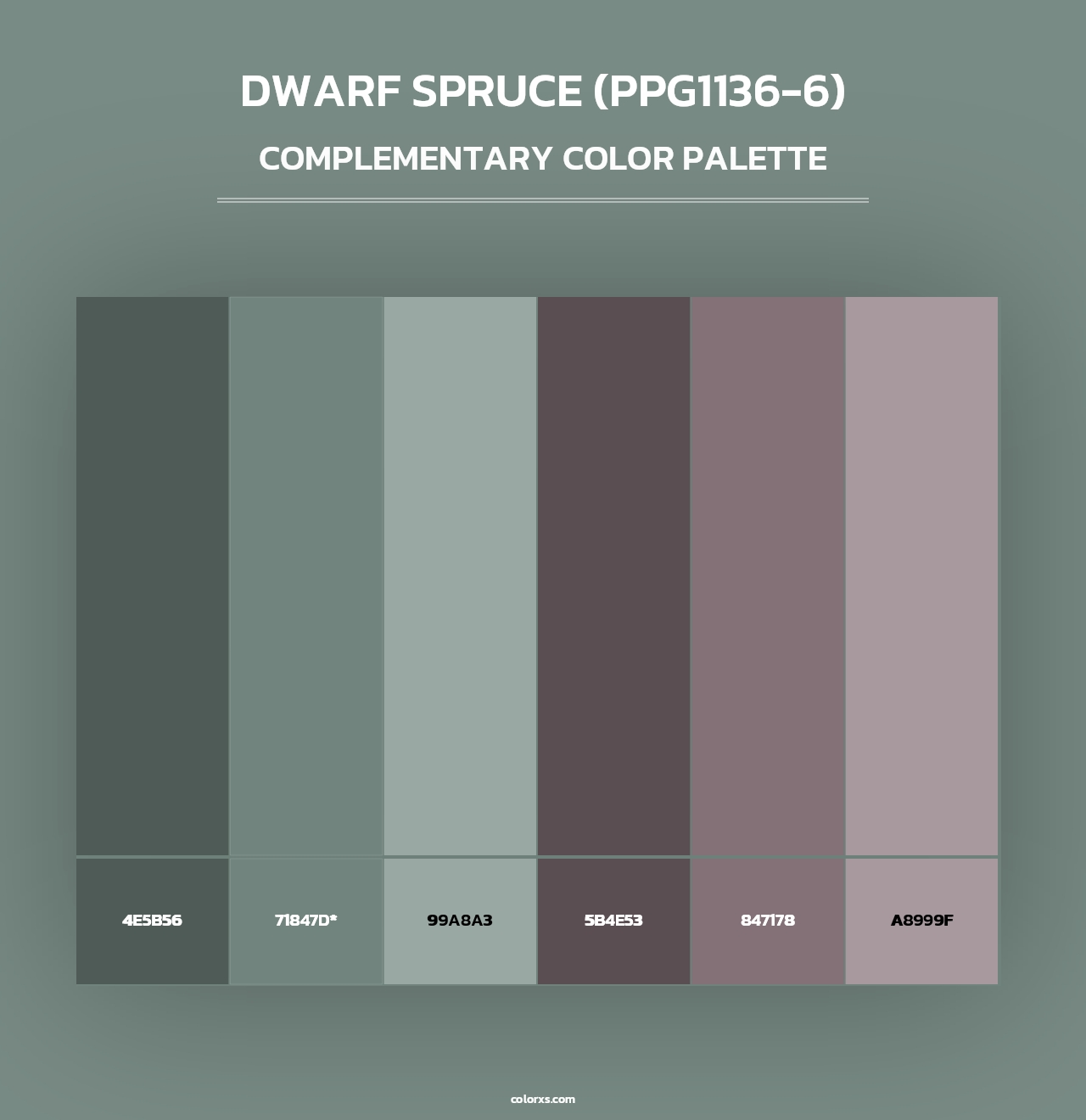 Dwarf Spruce (PPG1136-6) - Complementary Color Palette