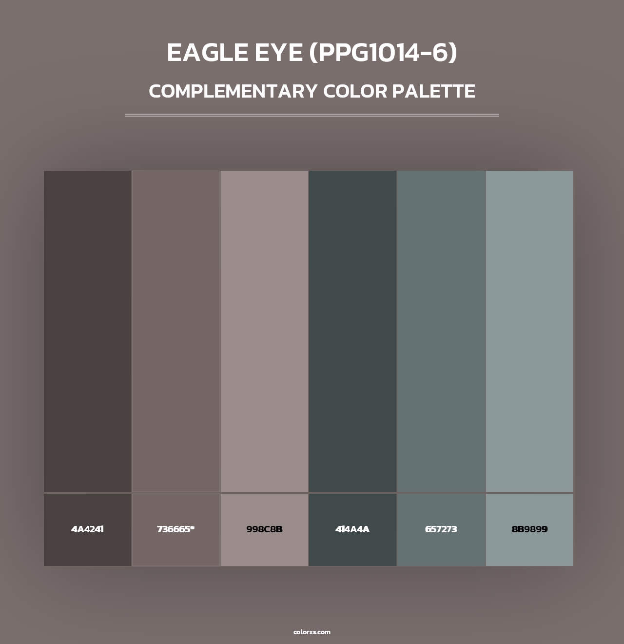 Eagle Eye (PPG1014-6) - Complementary Color Palette