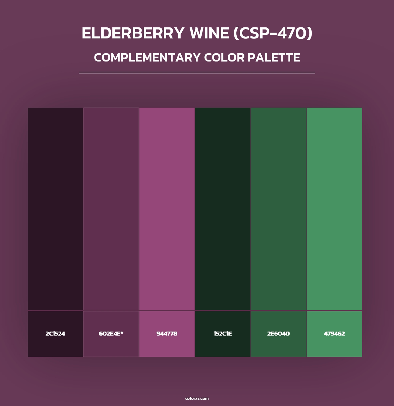 Elderberry Wine (CSP-470) - Complementary Color Palette