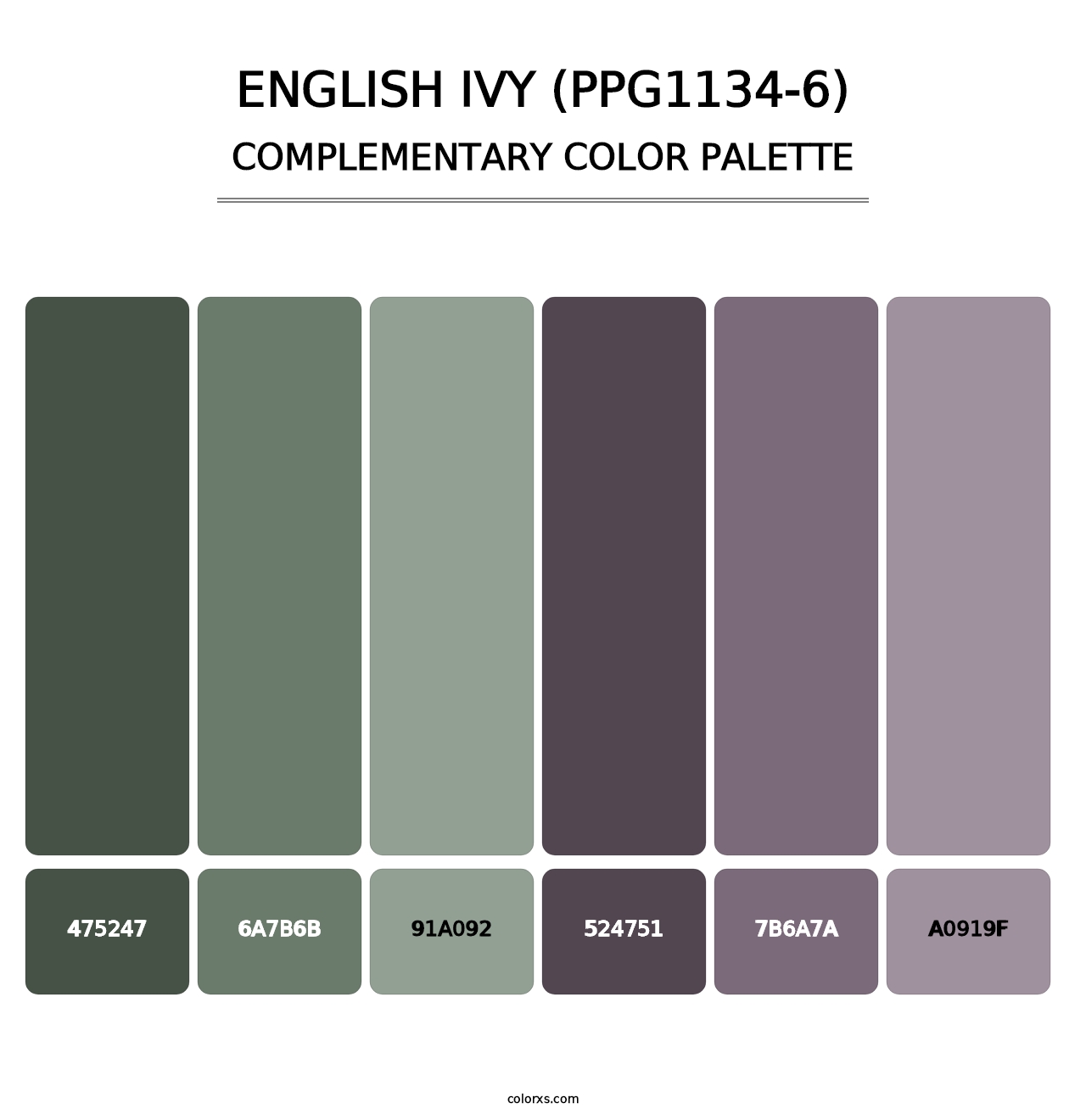 English Ivy (PPG1134-6) - Complementary Color Palette