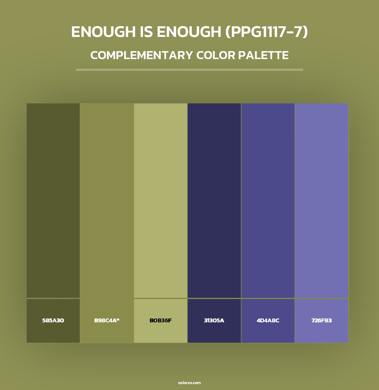 Enough Is Enough (PPG1117-7) - Complementary Color Palette