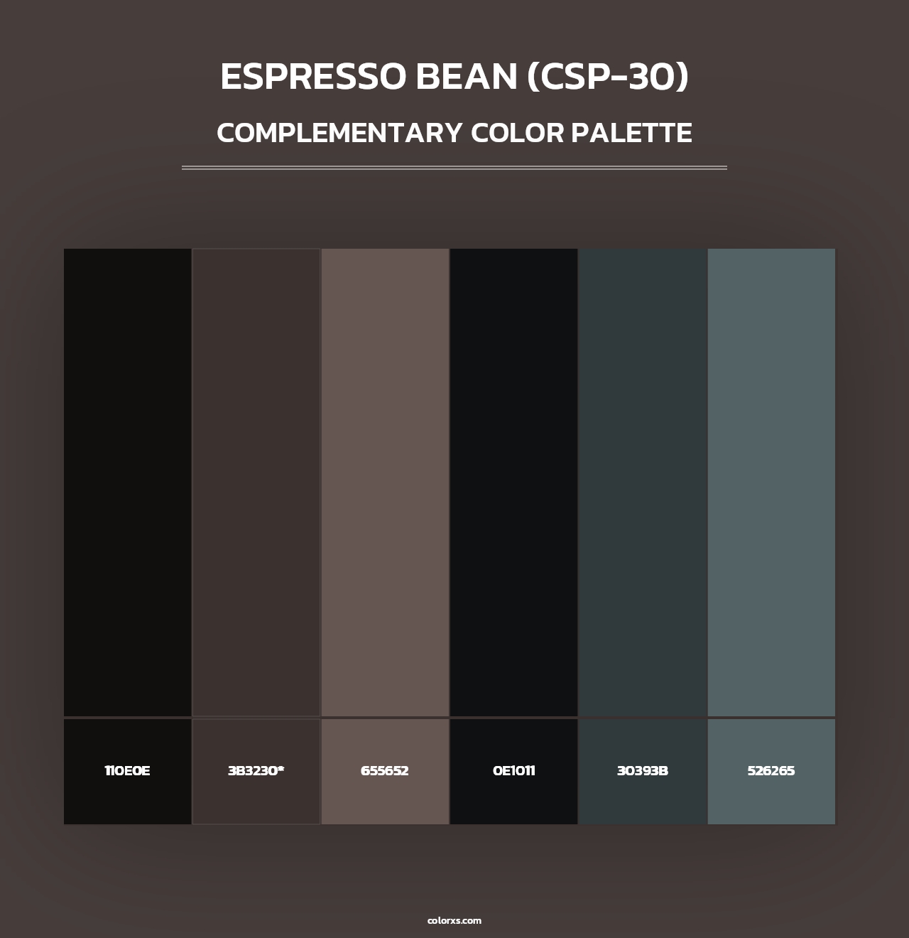 Espresso Bean (CSP-30) - Complementary Color Palette