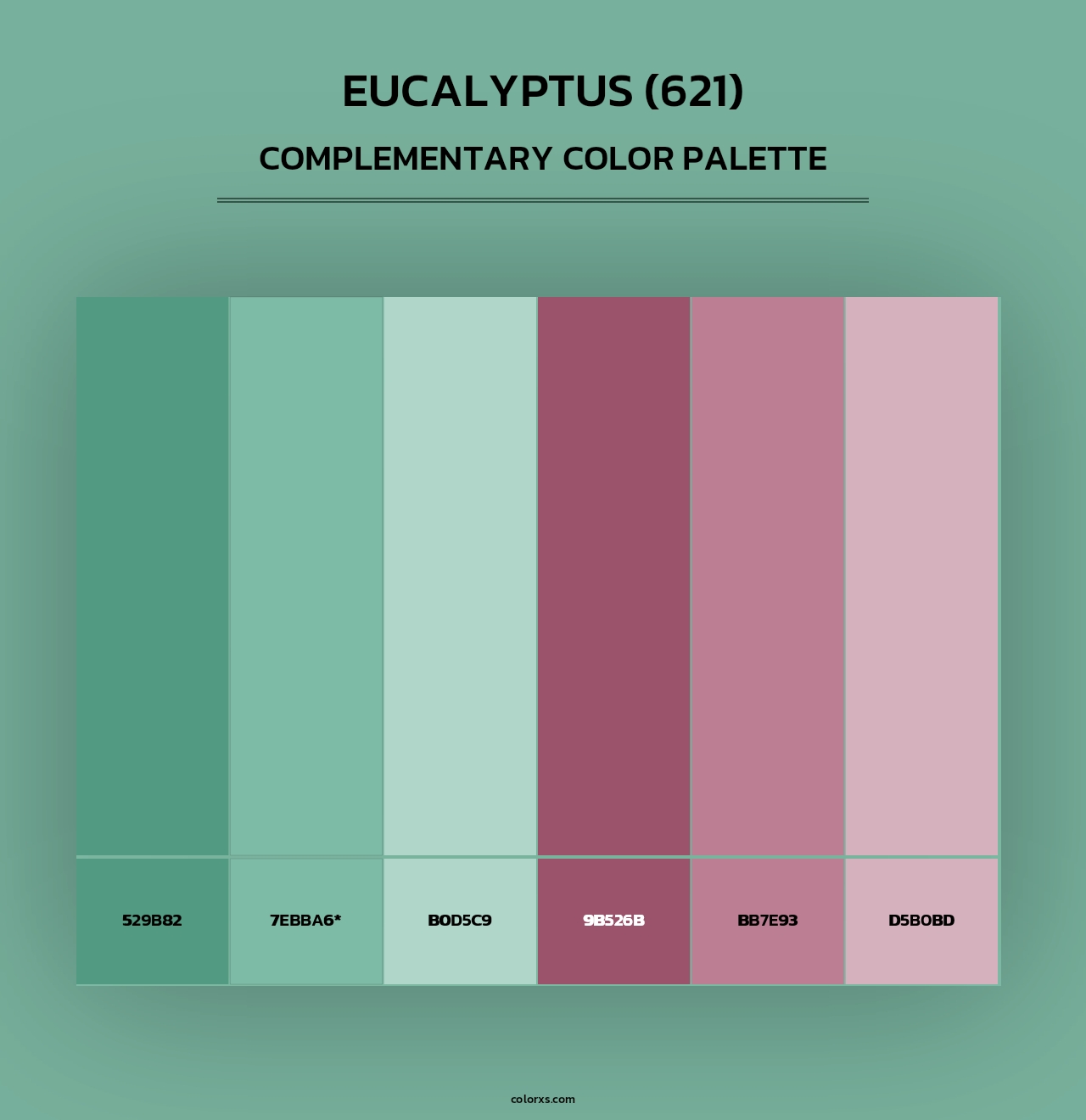 Eucalyptus (621) - Complementary Color Palette