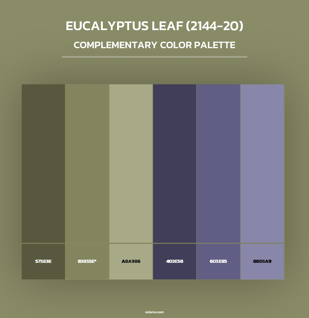 Eucalyptus Leaf (2144-20) - Complementary Color Palette