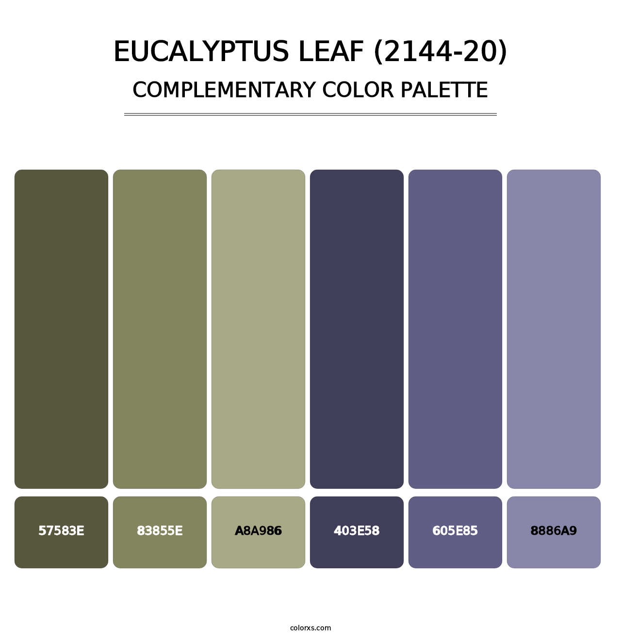 Eucalyptus Leaf (2144-20) - Complementary Color Palette