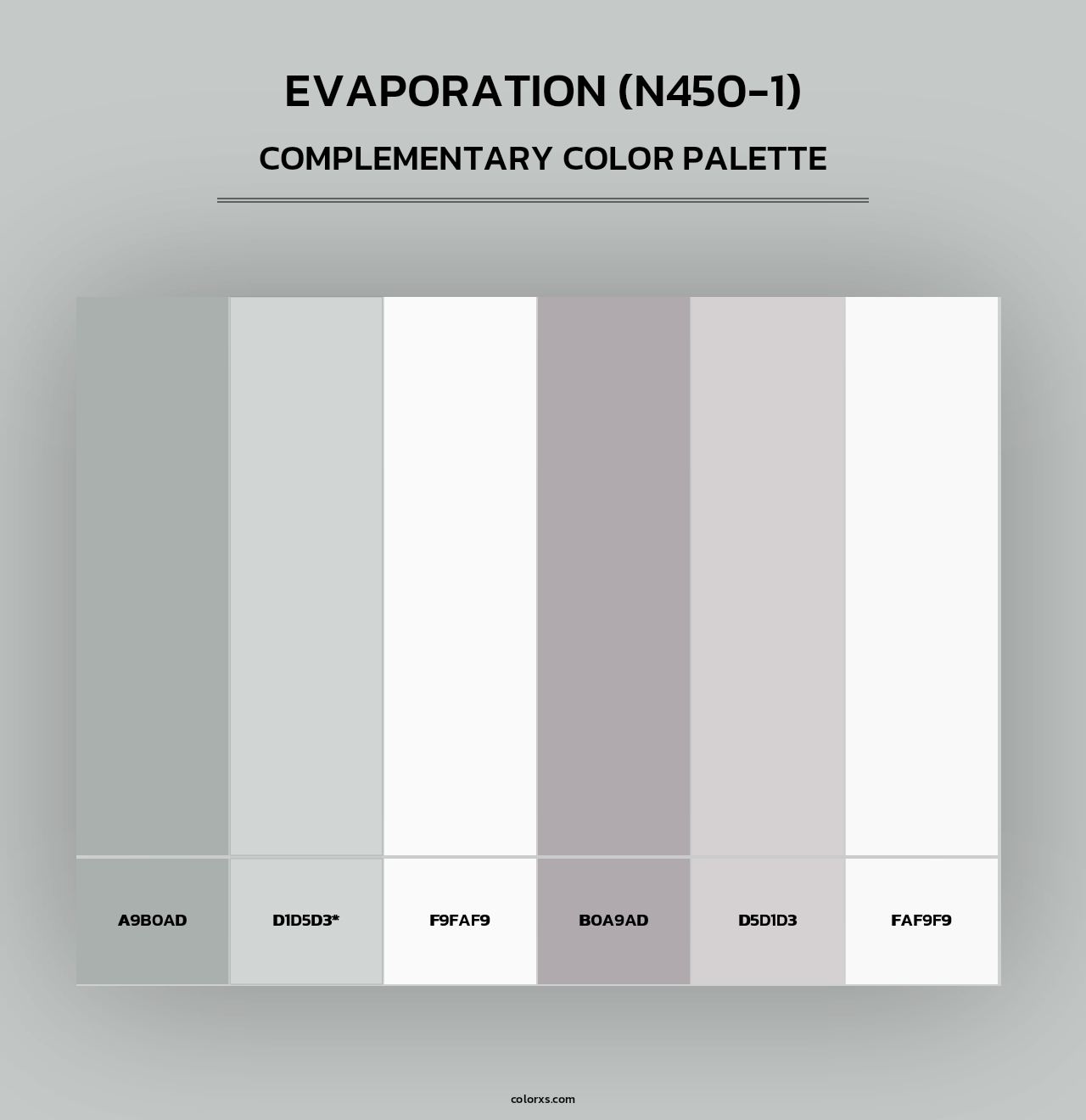 Evaporation (N450-1) - Complementary Color Palette