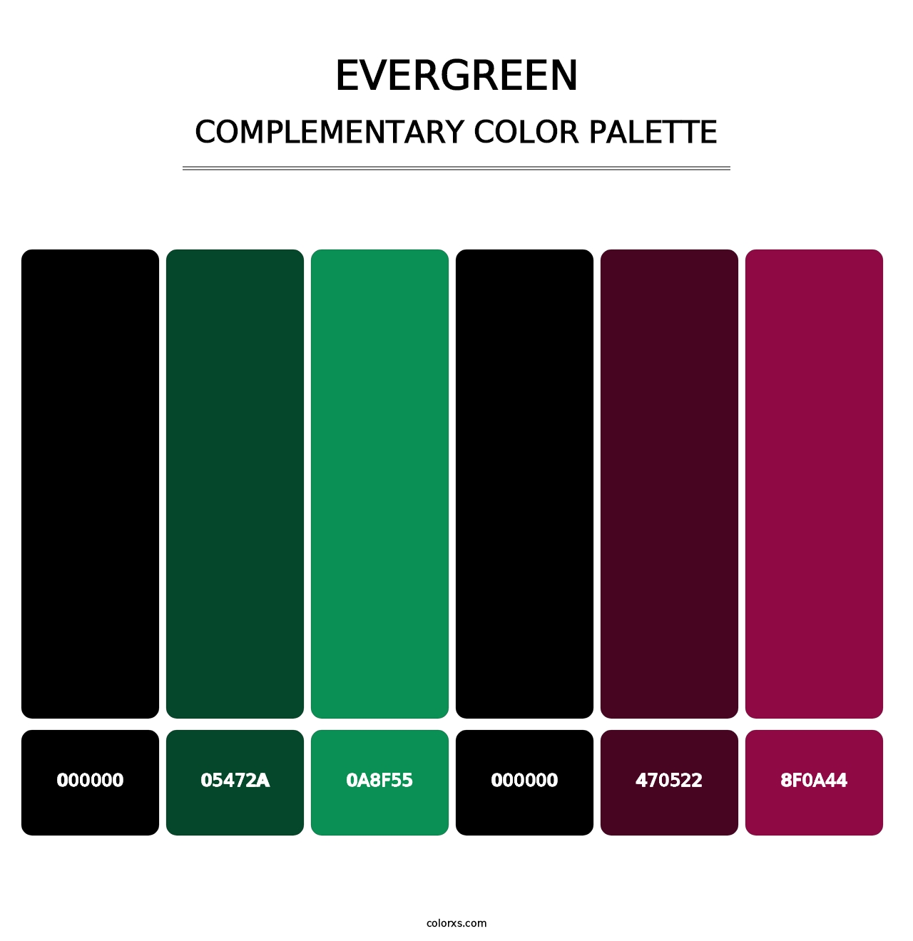 Evergreen - Complementary Color Palette