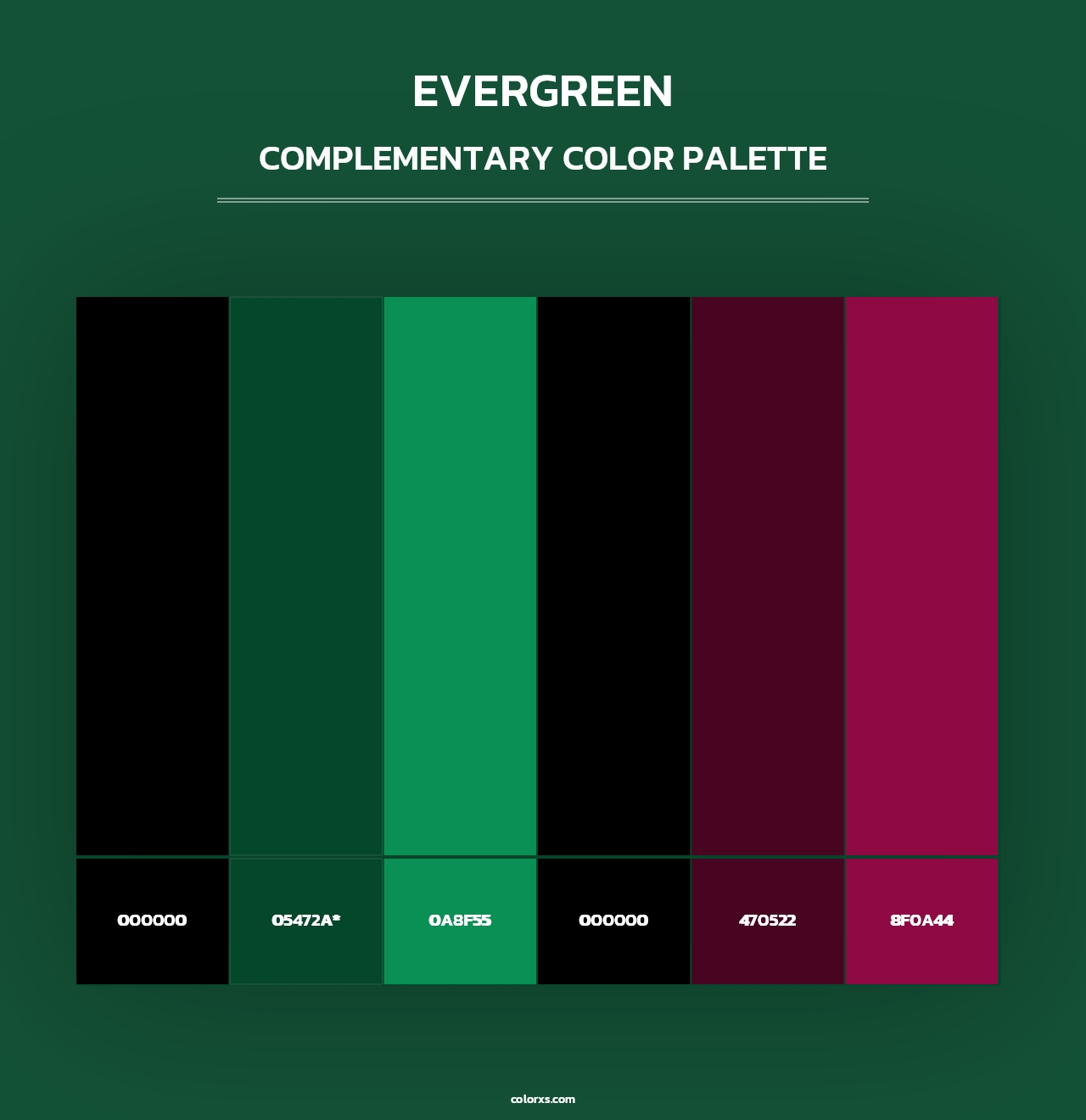 Evergreen - Complementary Color Palette