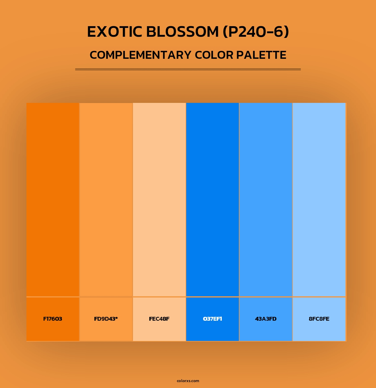 Exotic Blossom (P240-6) - Complementary Color Palette