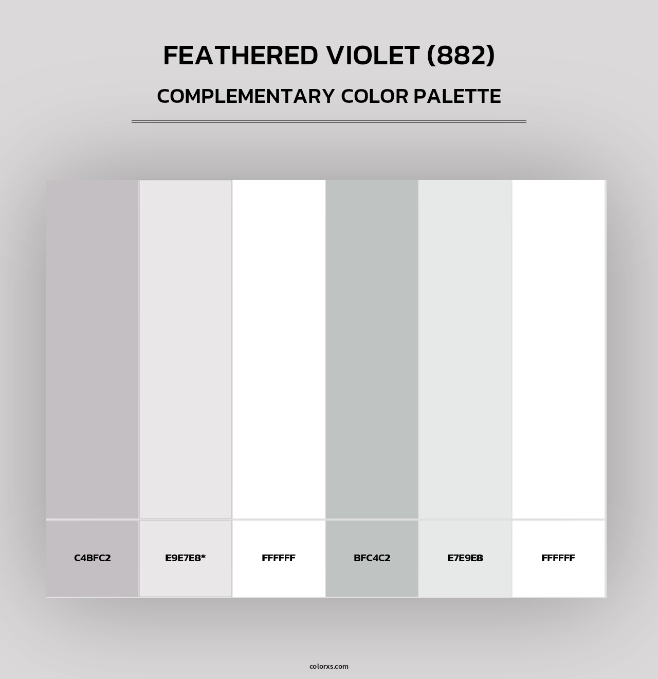Feathered Violet (882) - Complementary Color Palette