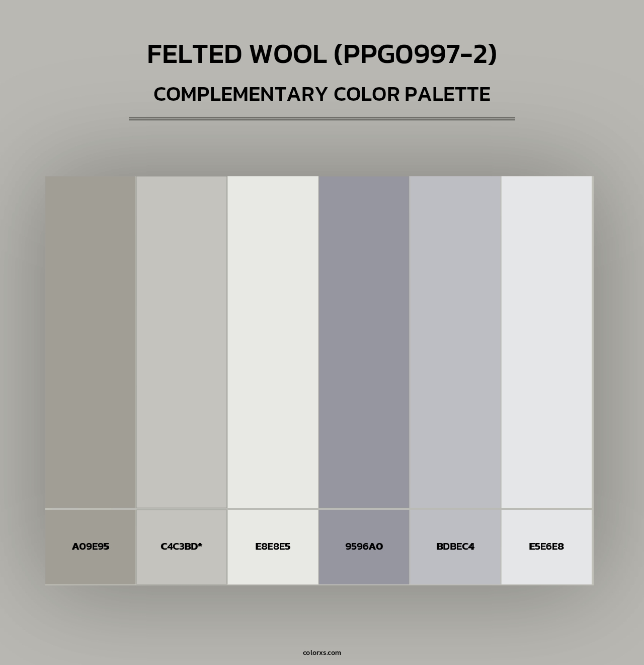 Felted Wool (PPG0997-2) - Complementary Color Palette