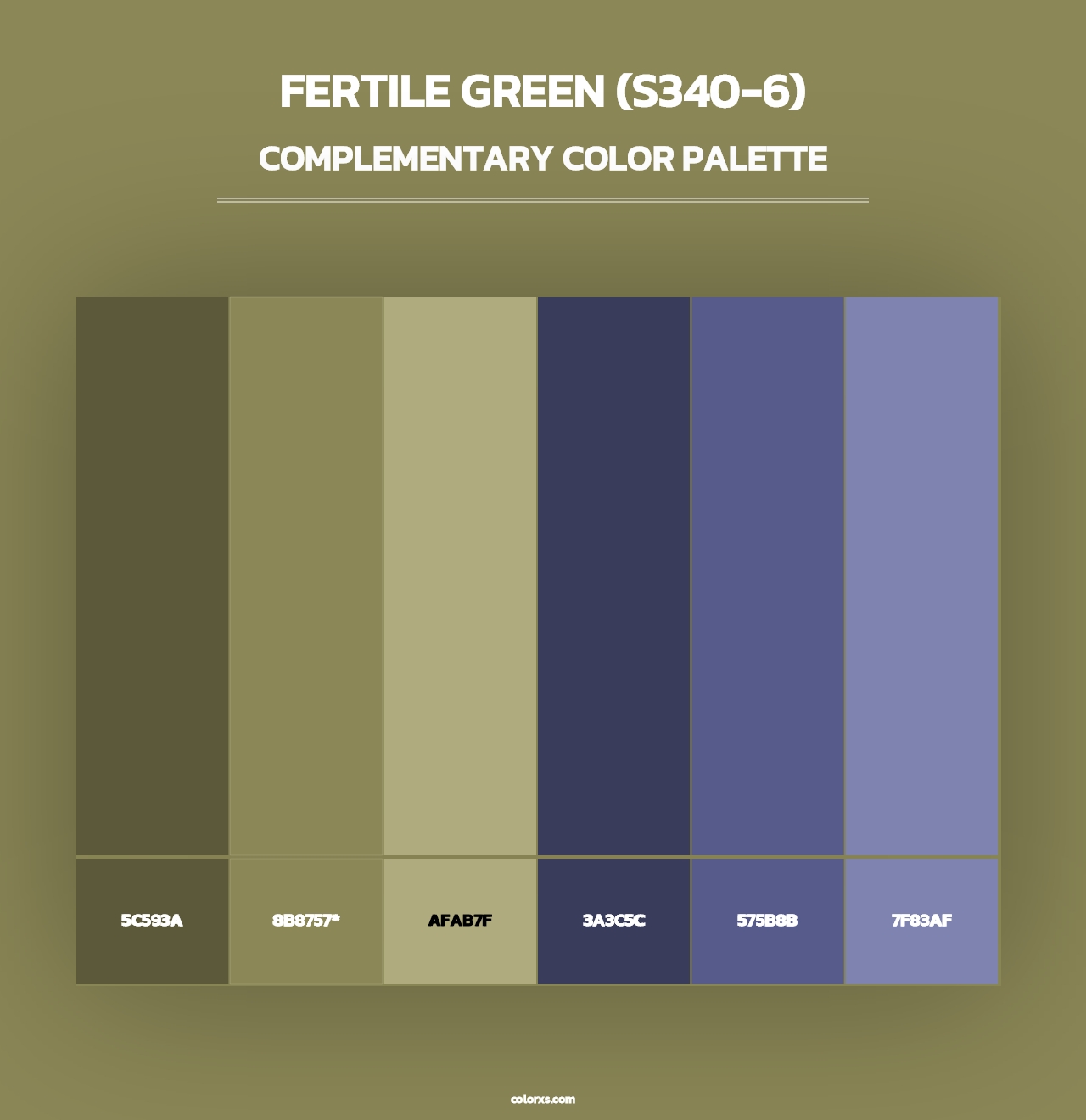Fertile Green (S340-6) - Complementary Color Palette