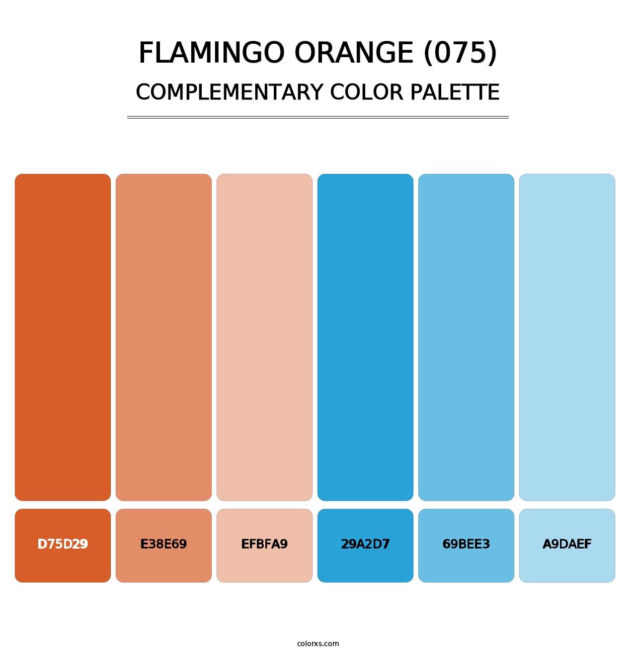 Flamingo Orange (075) - Complementary Color Palette