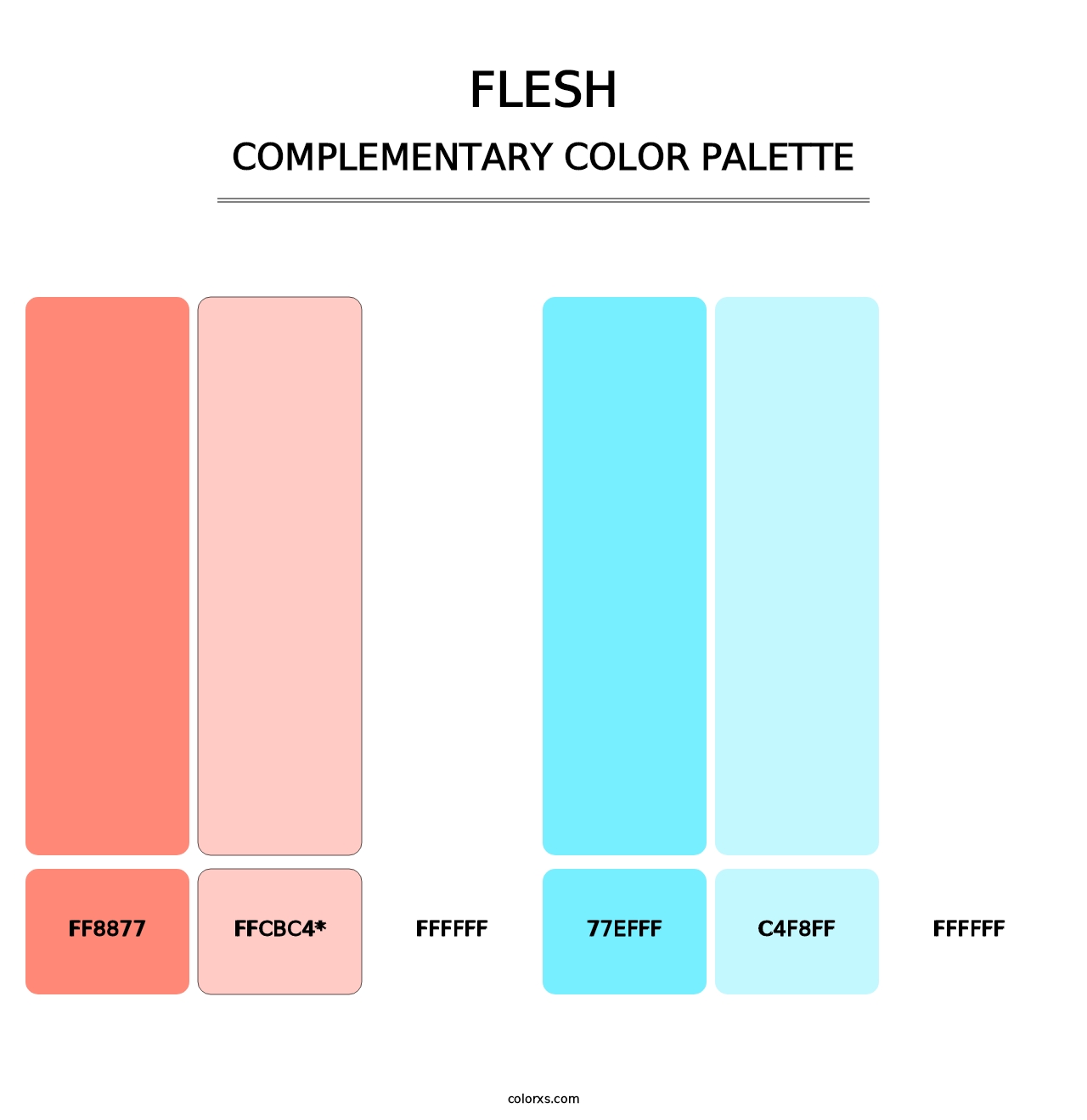 Flesh - Complementary Color Palette