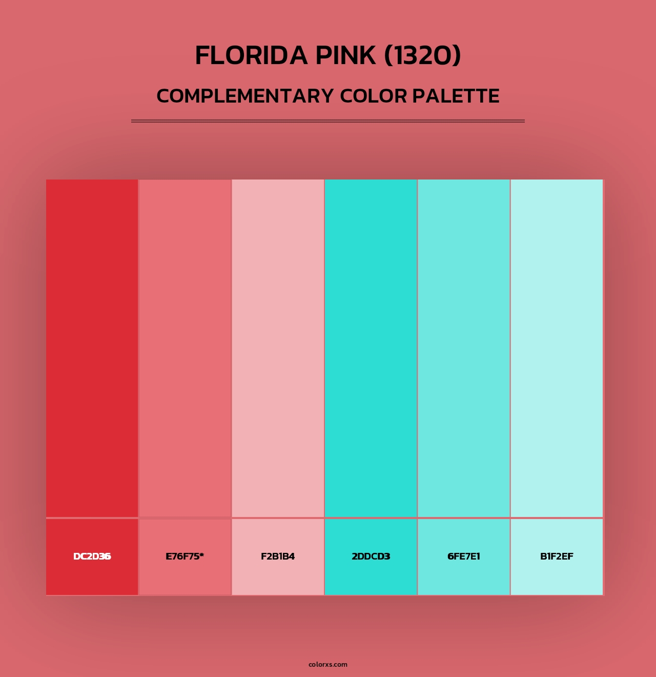 Florida Pink (1320) - Complementary Color Palette