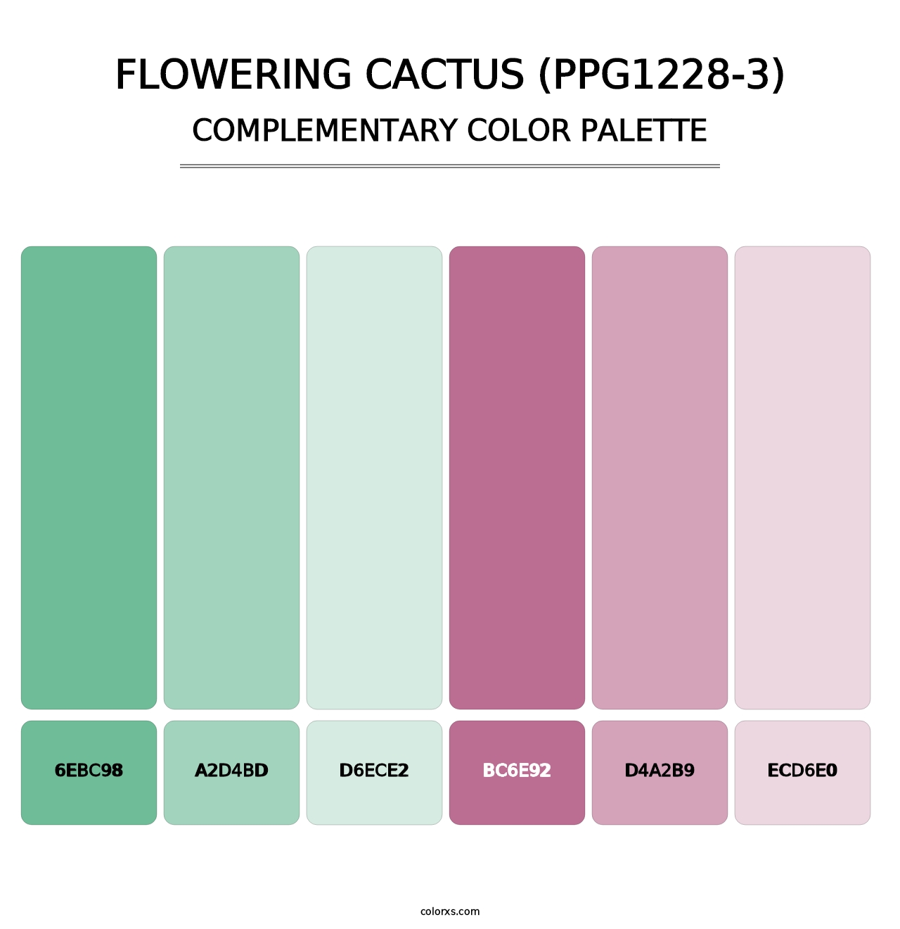 Flowering Cactus (PPG1228-3) - Complementary Color Palette