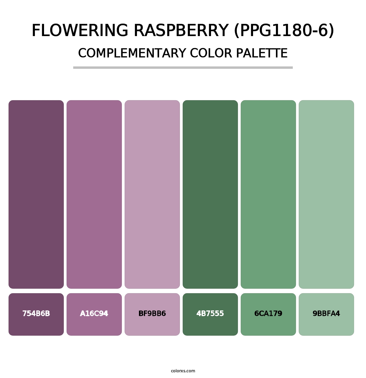 Flowering Raspberry (PPG1180-6) - Complementary Color Palette