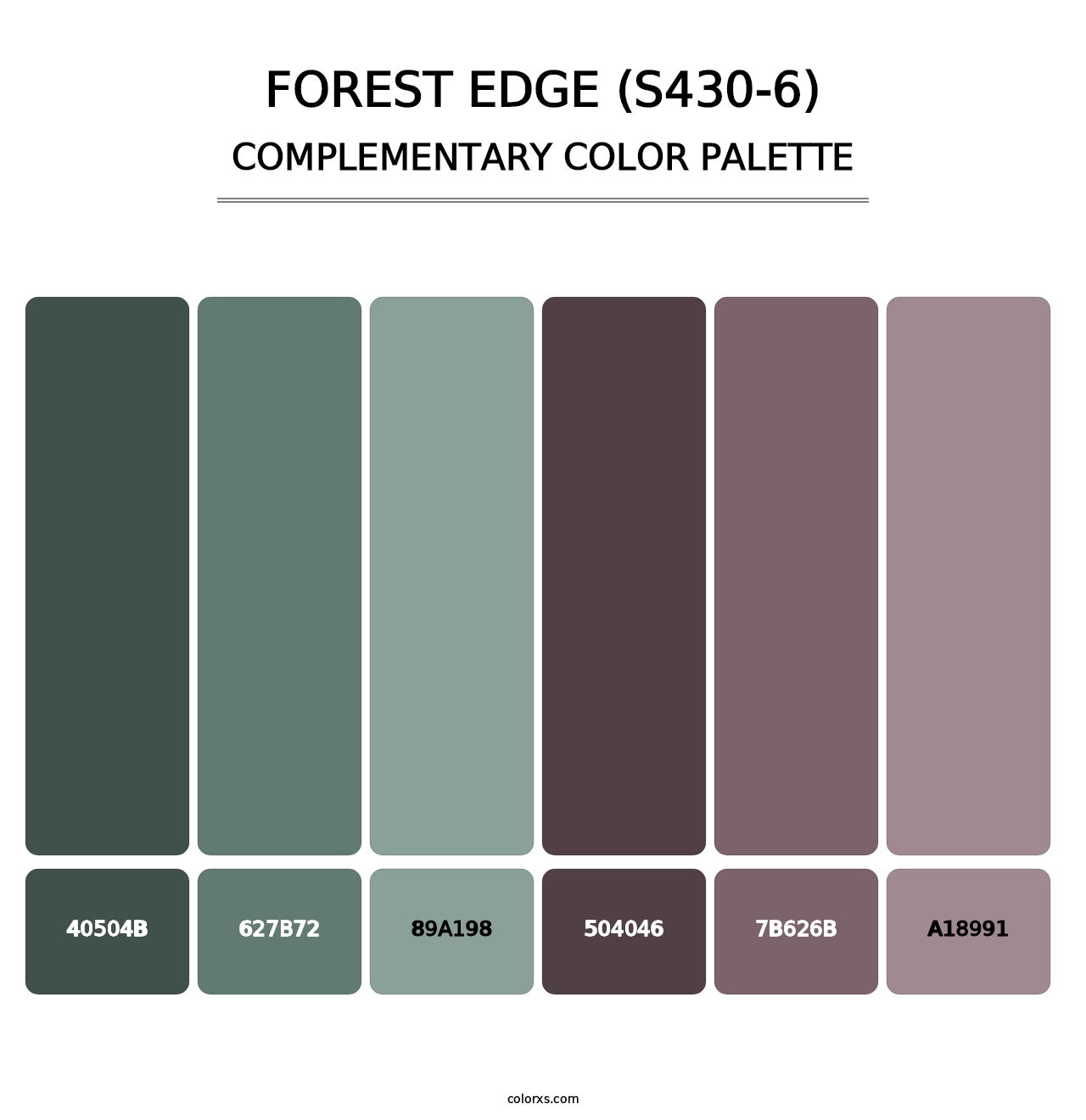 Forest Edge (S430-6) - Complementary Color Palette