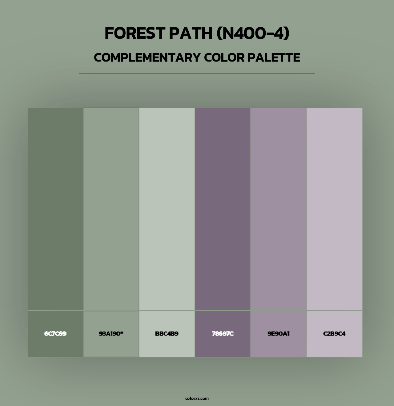 Forest Path (N400-4) - Complementary Color Palette