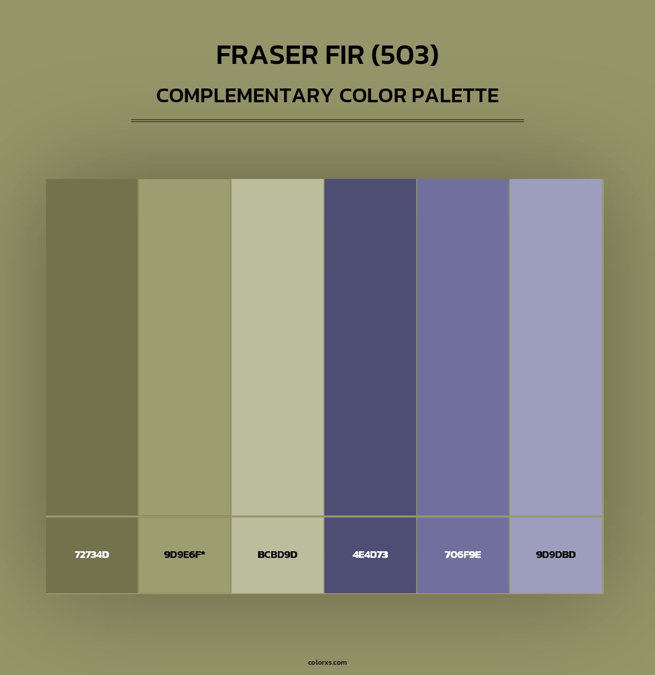 Fraser Fir (503) - Complementary Color Palette