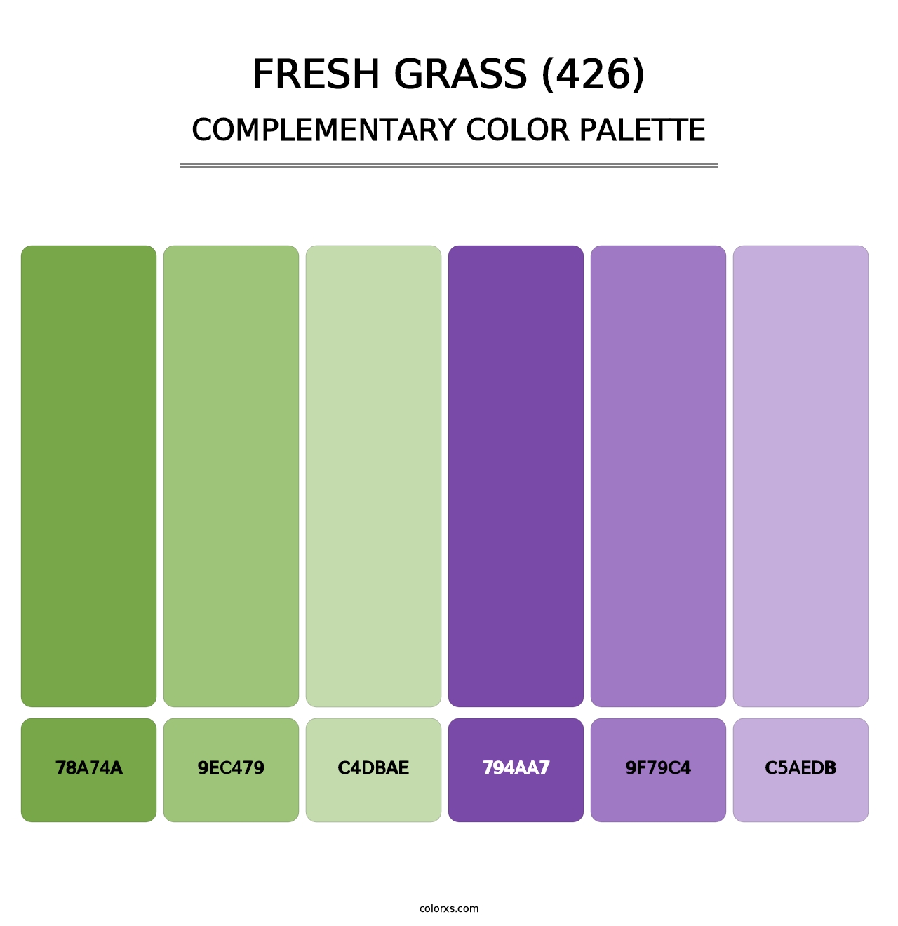 Fresh Grass (426) - Complementary Color Palette
