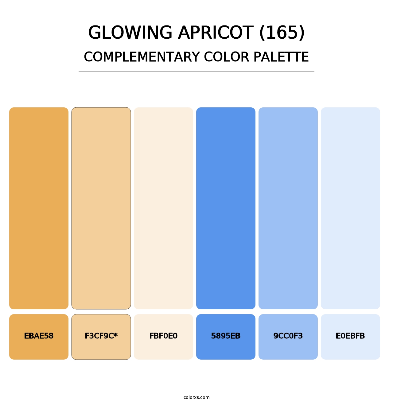 Glowing Apricot (165) - Complementary Color Palette