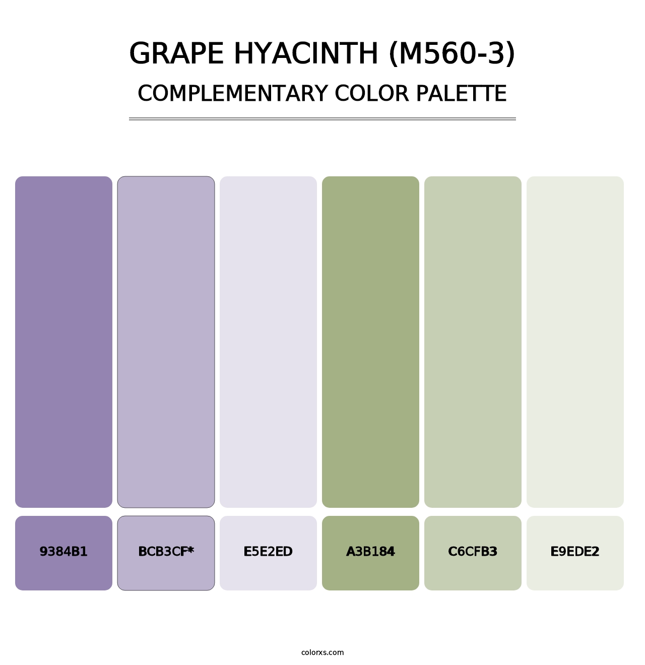 Grape Hyacinth (M560-3) - Complementary Color Palette