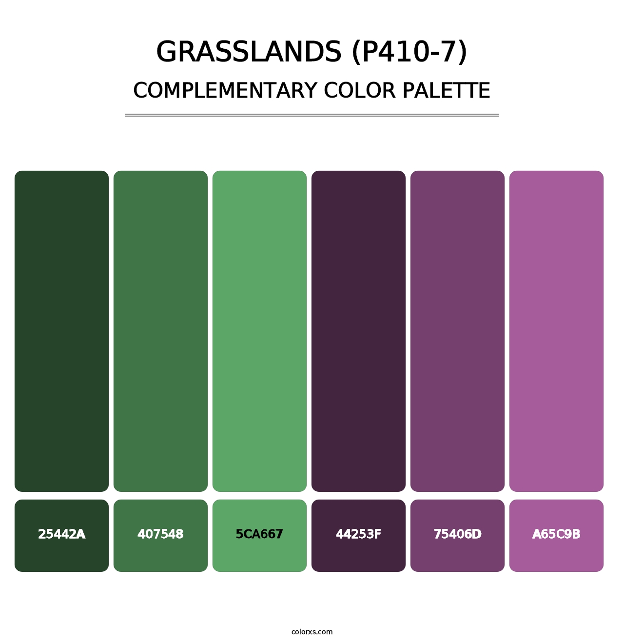 Grasslands (P410-7) - Complementary Color Palette