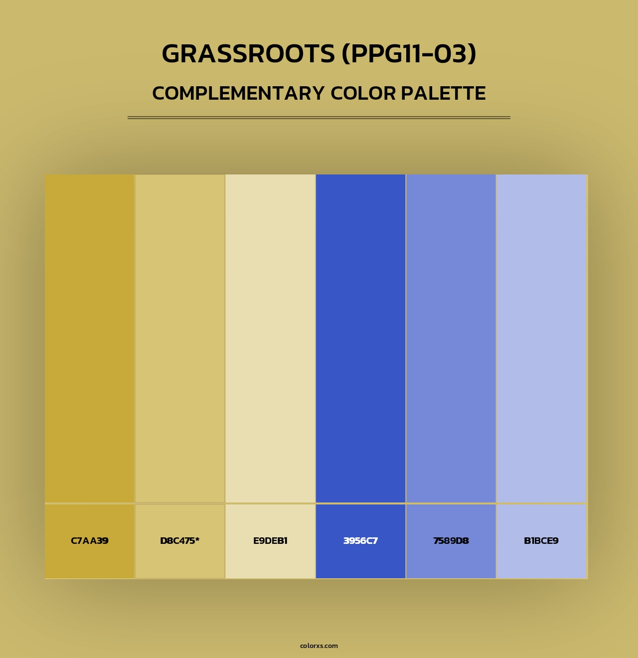 Grassroots (PPG11-03) - Complementary Color Palette