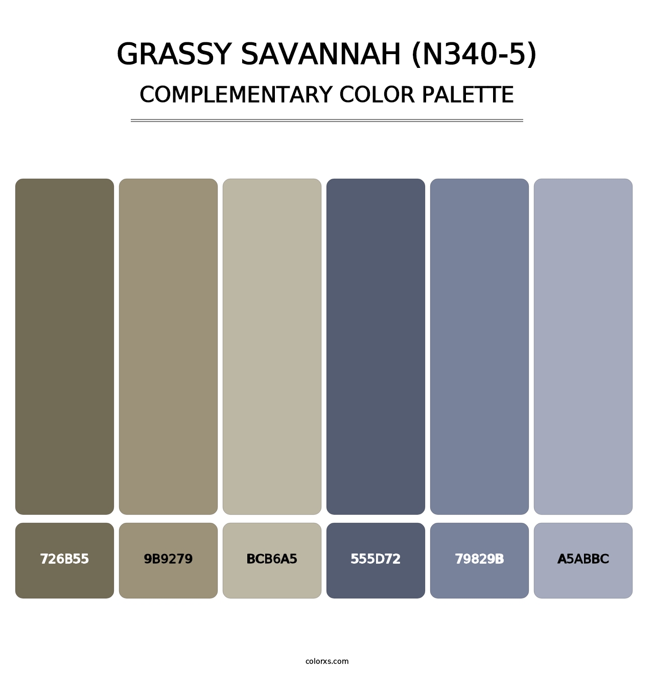 Grassy Savannah (N340-5) - Complementary Color Palette