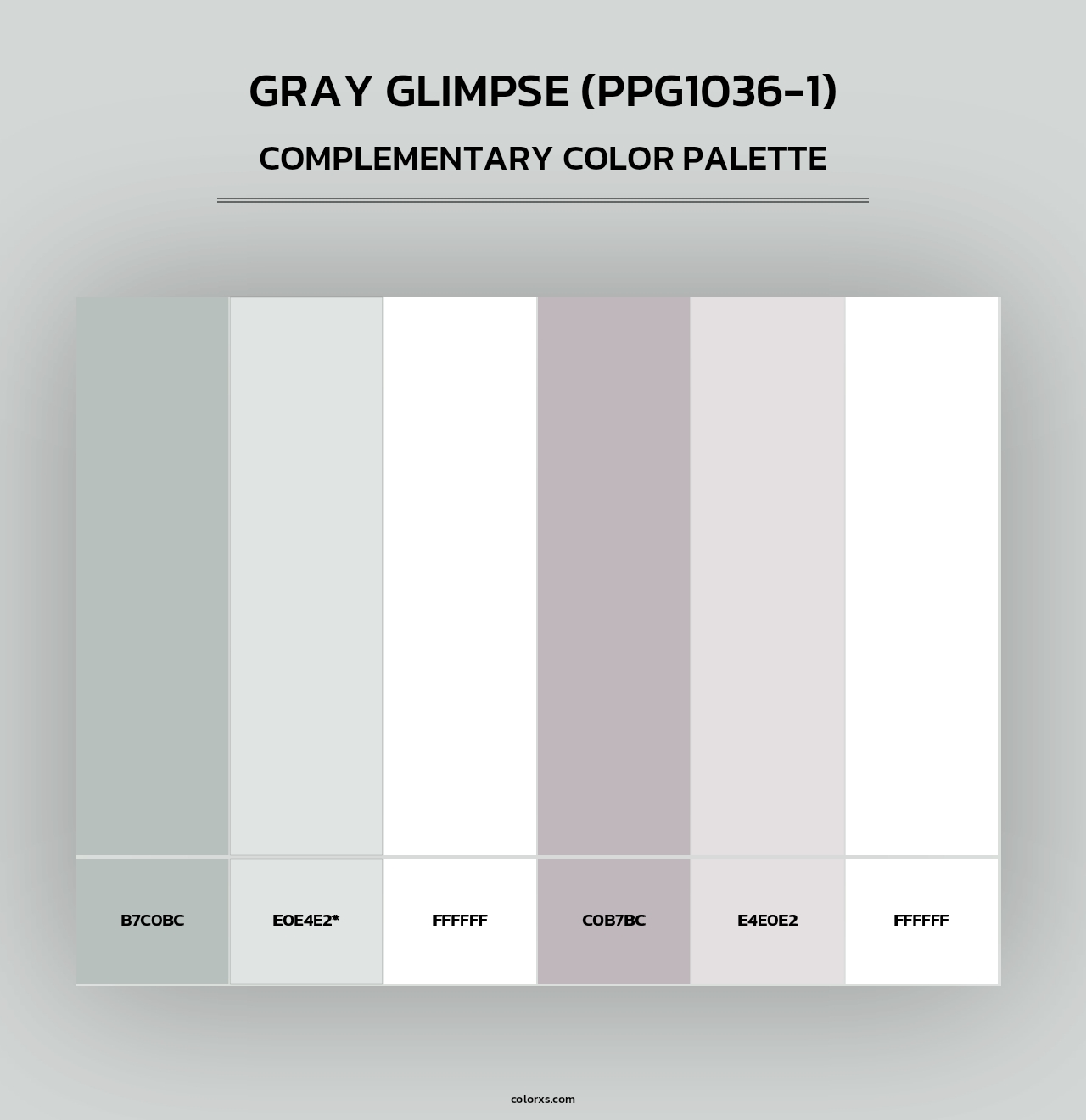 Gray Glimpse (PPG1036-1) - Complementary Color Palette
