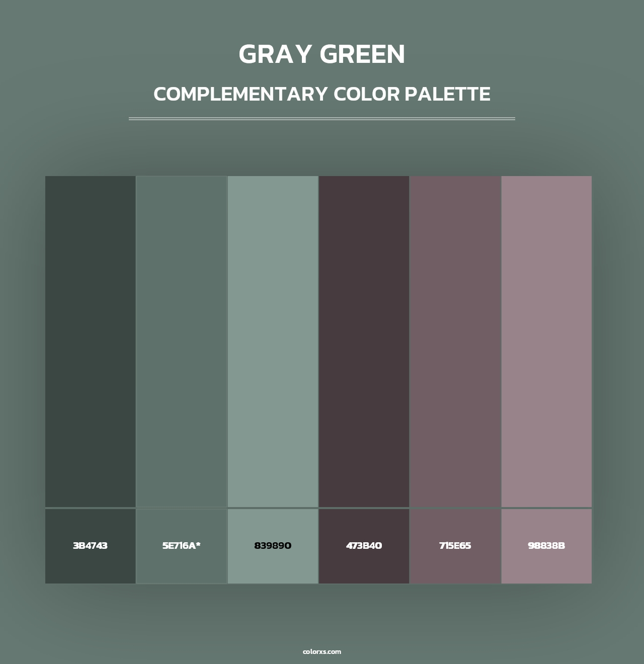 Gray Green - Complementary Color Palette