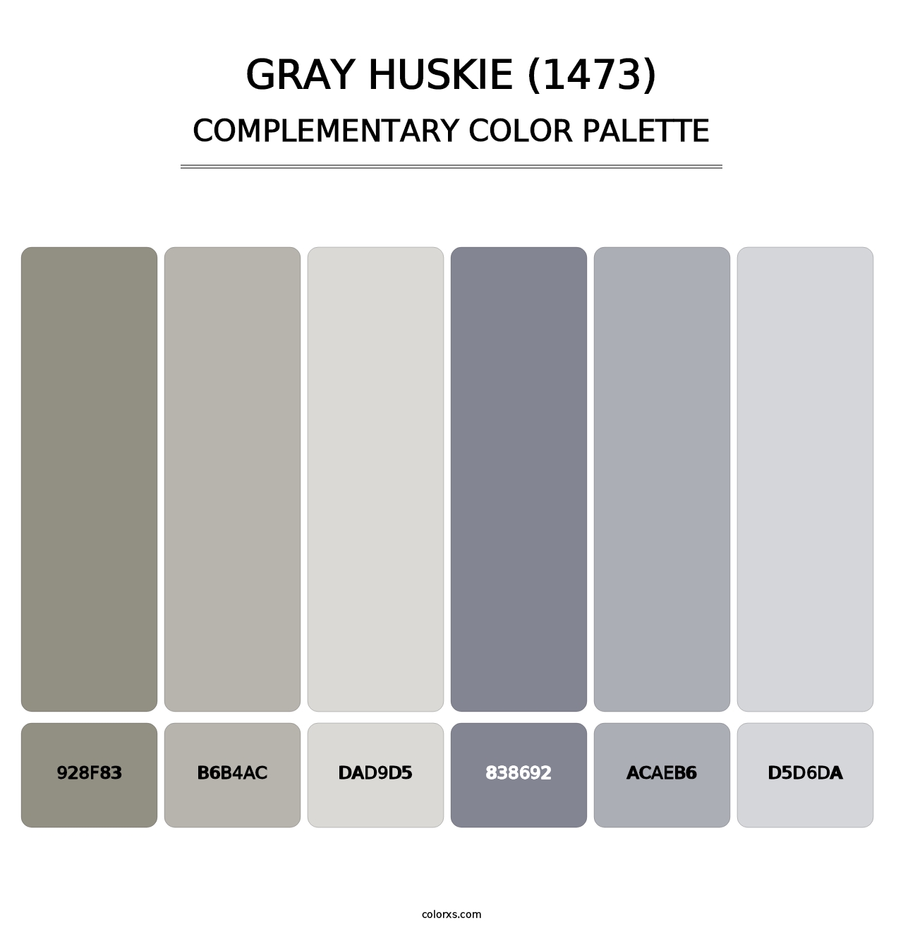 Gray Huskie (1473) - Complementary Color Palette