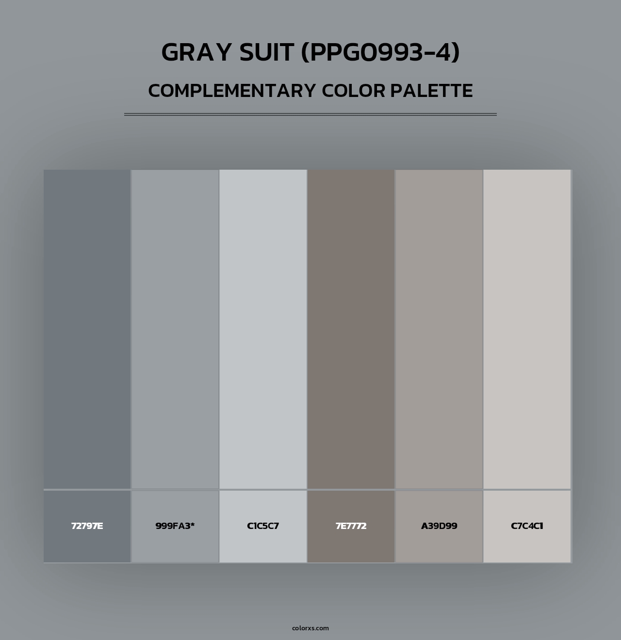 Gray Suit (PPG0993-4) - Complementary Color Palette