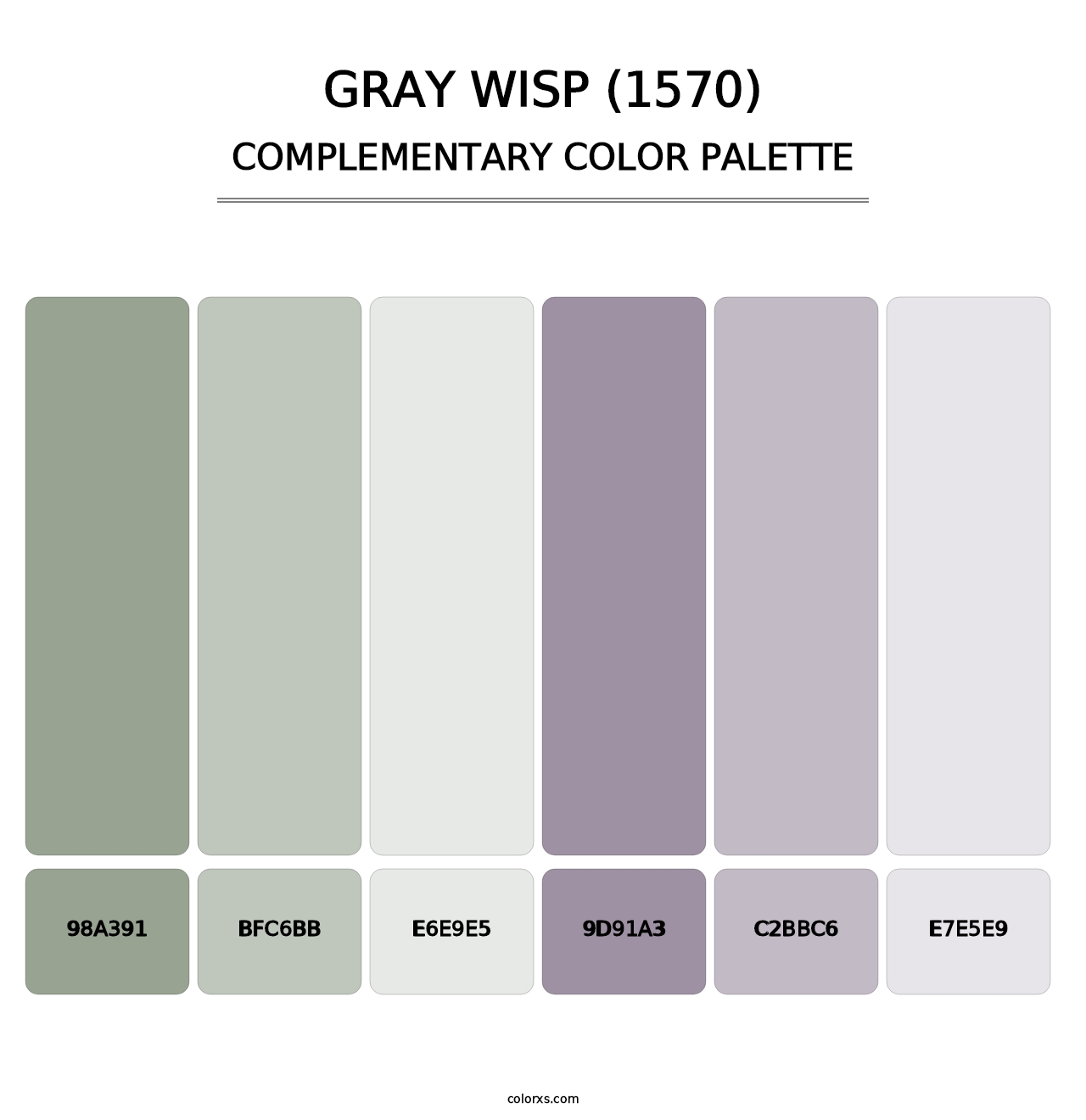 Gray Wisp (1570) - Complementary Color Palette