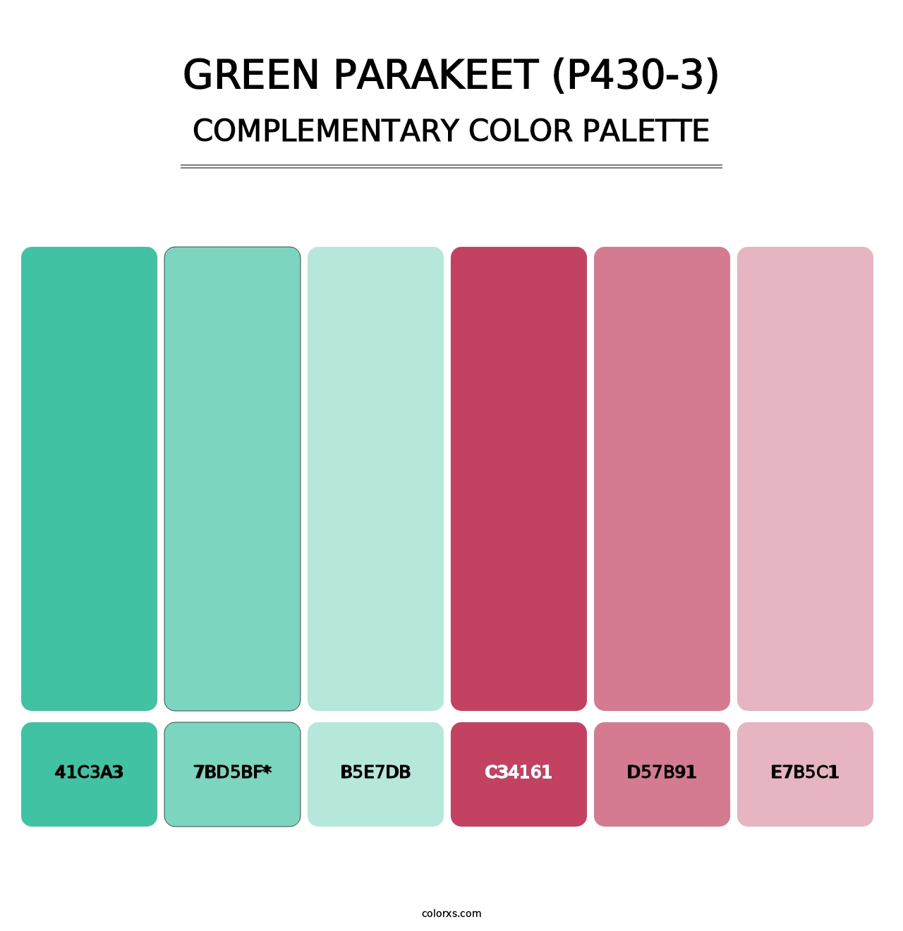 Green Parakeet (P430-3) - Complementary Color Palette
