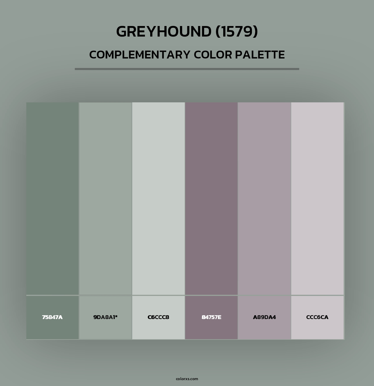 Greyhound (1579) - Complementary Color Palette