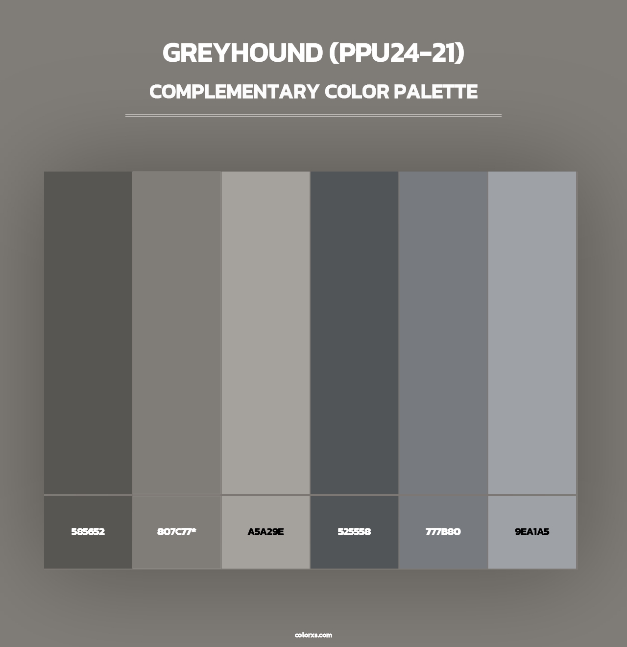 Greyhound (PPU24-21) - Complementary Color Palette
