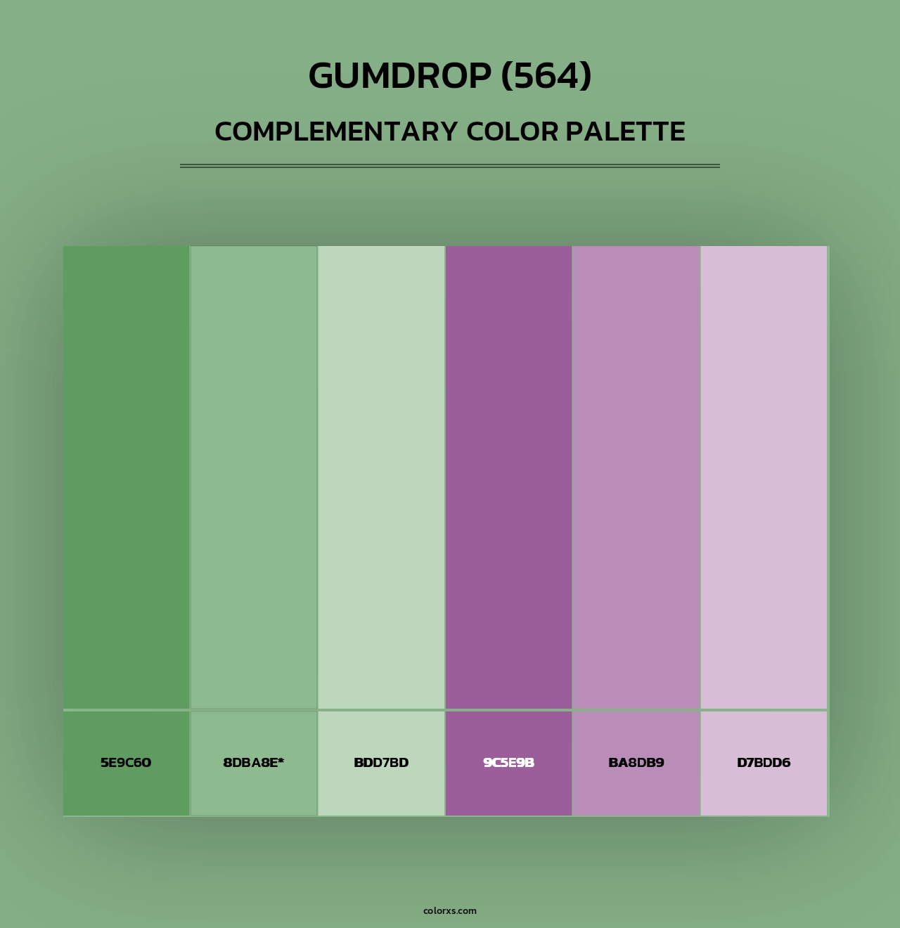 Gumdrop (564) - Complementary Color Palette