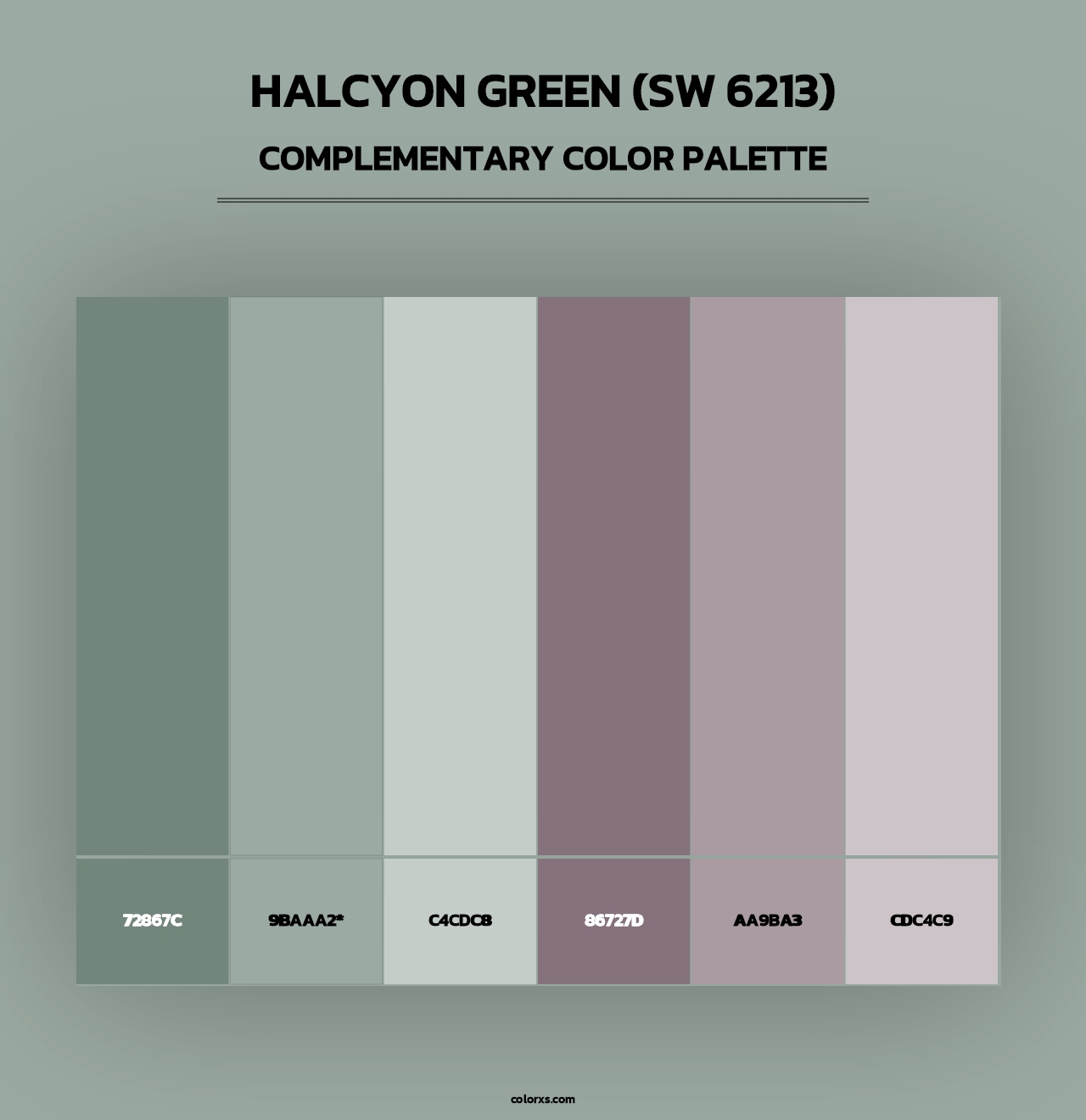 Halcyon Green (SW 6213) - Complementary Color Palette