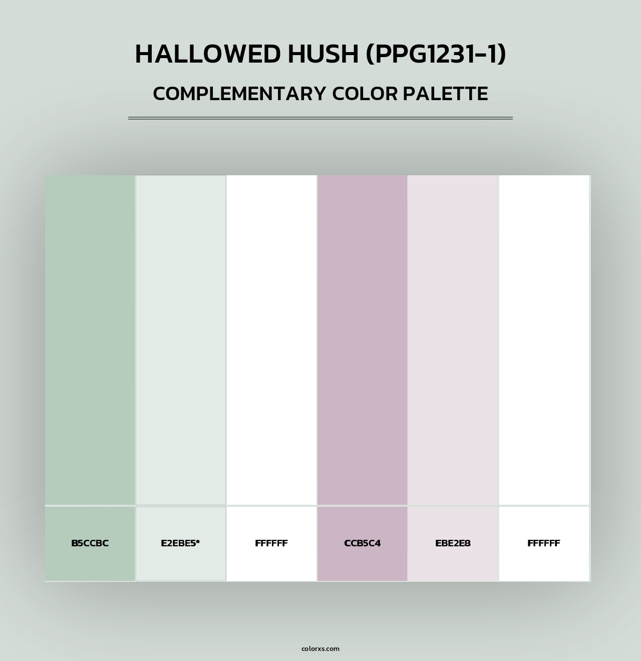 Hallowed Hush (PPG1231-1) - Complementary Color Palette