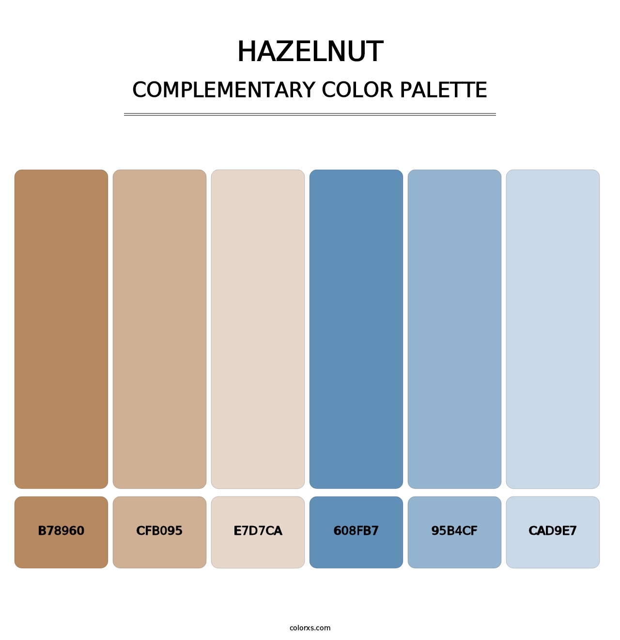 Hazelnut - Complementary Color Palette
