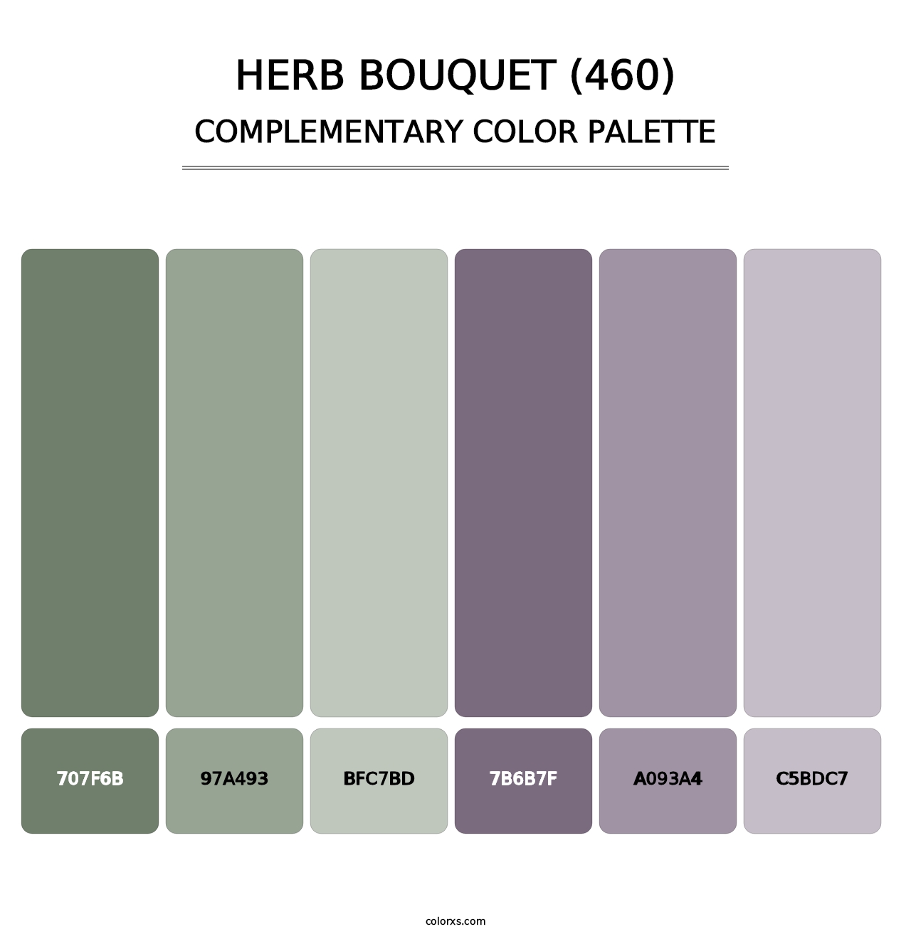 Herb Bouquet (460) - Complementary Color Palette