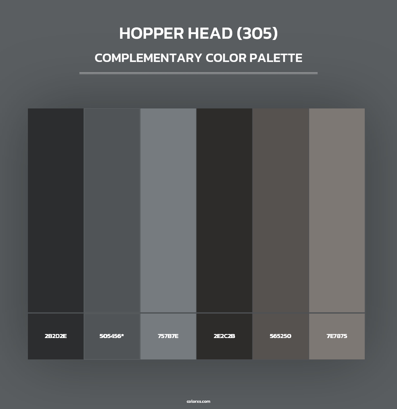 Hopper Head (305) - Complementary Color Palette