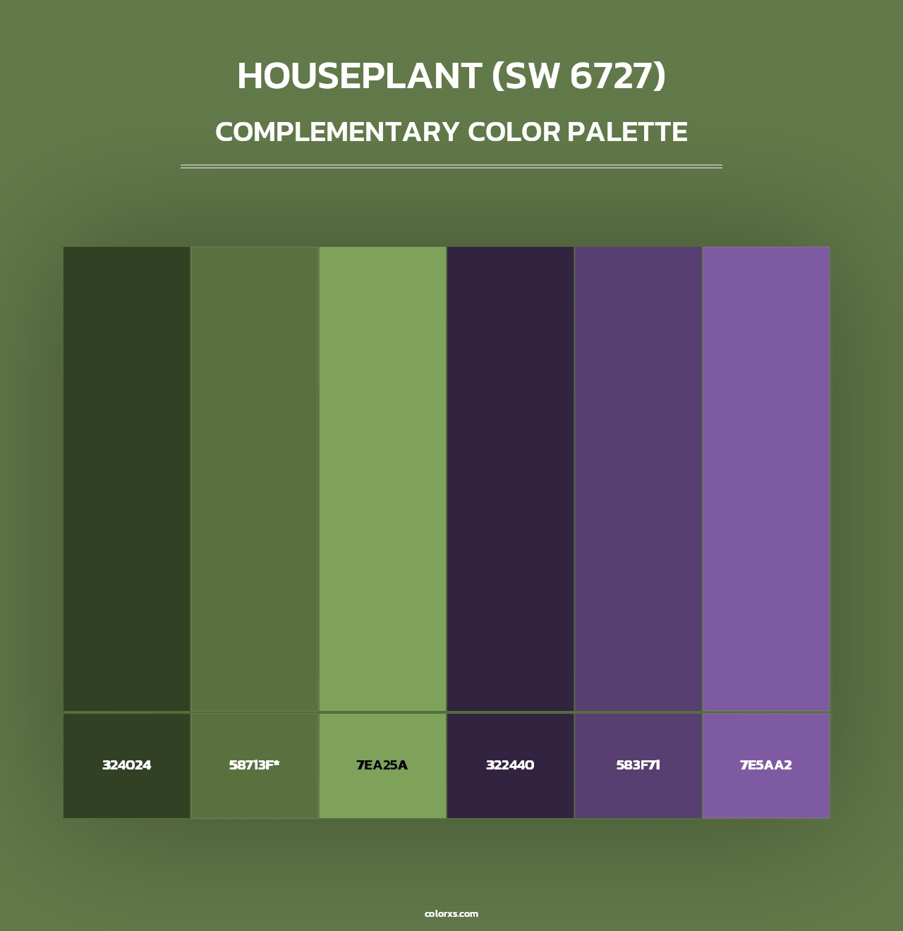 Houseplant (SW 6727) - Complementary Color Palette
