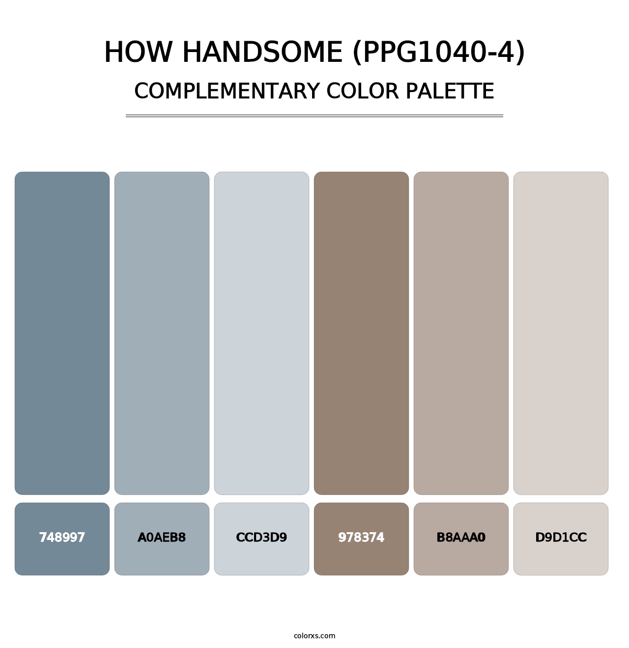 How Handsome (PPG1040-4) - Complementary Color Palette