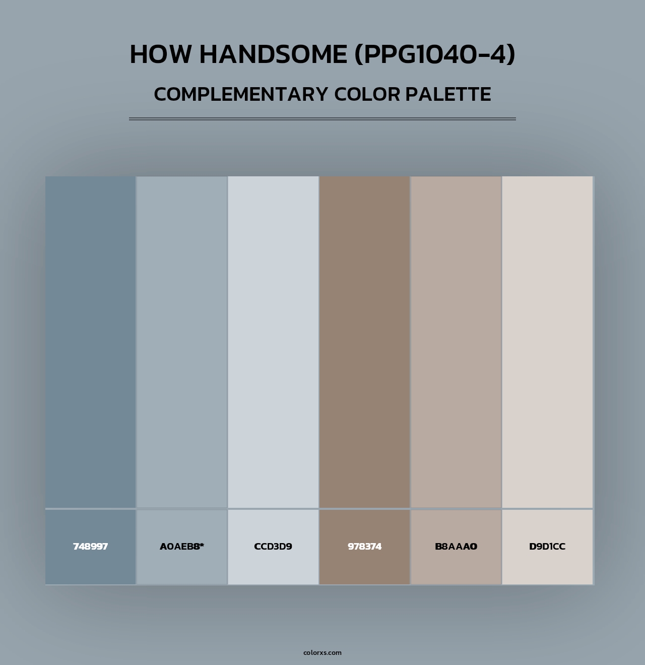How Handsome (PPG1040-4) - Complementary Color Palette