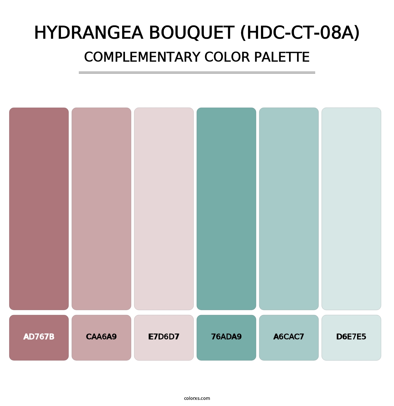 Hydrangea Bouquet (HDC-CT-08A) - Complementary Color Palette
